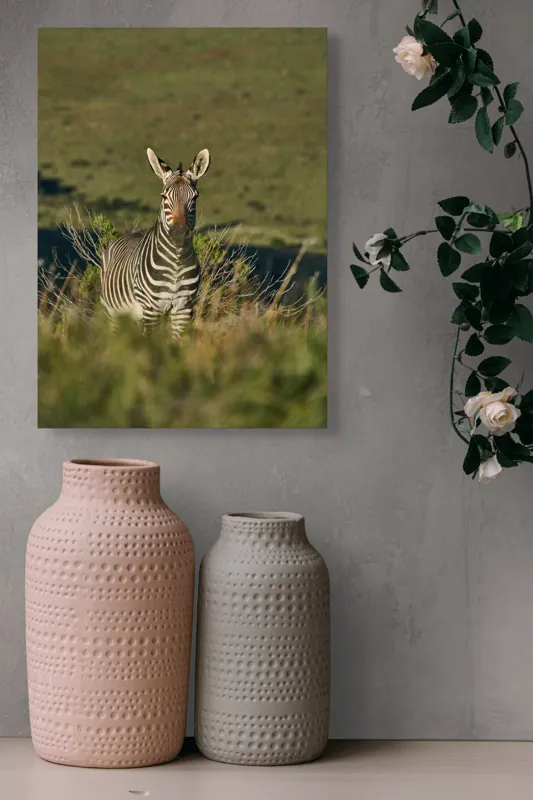 Tablou Canvas, "Zebra în peisajul savanei africane", Zebră, Iarbă, Pădure, Natură, Privire, Linie, Africa, Culoare, Pasiune, Liniște, 39 x 54 cm – poza 6