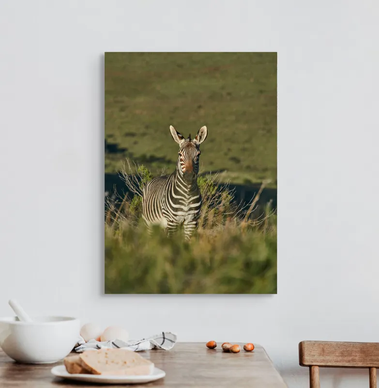Tablou Canvas, "Zebra în peisajul savanei africane", Zebră, Iarbă, Pădure, Natură, Privire, Linie, Africa, Culoare, Pasiune, Liniște, 50 x 70 cm – poza 3