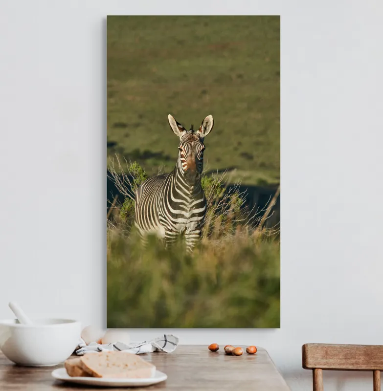 Tablou Canvas, "Zebra în peisajul savanei africane", Zebră, Iarbă, Pădure, Natură, Privire, Linie, Africa, Culoare, Pasiune, Liniște, 50 x 90 cm – poza 3