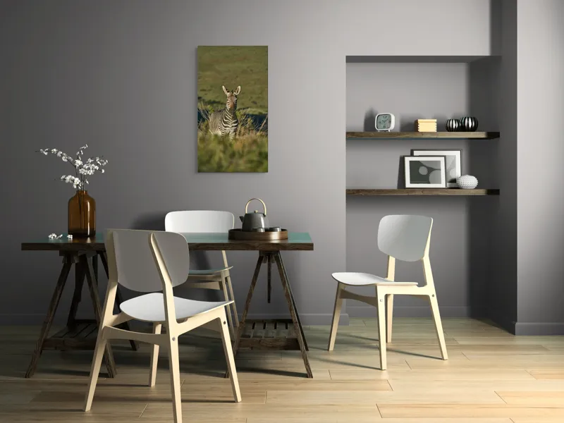 Tablou Canvas, "Zebra în peisajul savanei africane", Zebră, Iarbă, Pădure, Natură, Privire, Linie, Africa, Culoare, Pasiune, Liniște, 50 x 90 cm – poza 4