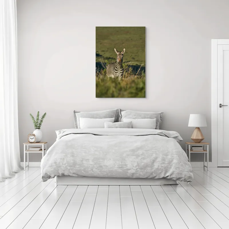 Tablou Canvas, "Zebra în peisajul savanei africane", Zebră, Iarbă, Pădure, Natură, Privire, Linie, Africa, Culoare, Pasiune, Liniște, 70 x 100 cm – poza 3