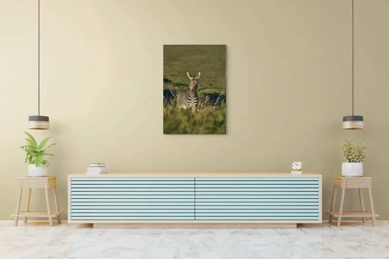 Tablou Canvas, "Zebra în peisajul savanei africane", Zebră, Iarbă, Pădure, Natură, Privire, Linie, Africa, Culoare, Pasiune, Liniște, 70 x 100 cm – poza 5