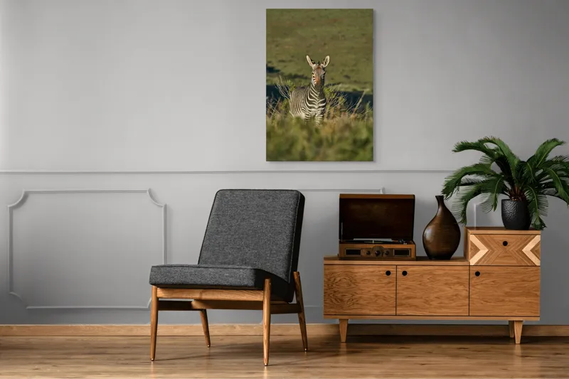 Tablou Canvas, "Zebra în peisajul savanei africane", Zebră, Iarbă, Pădure, Natură, Privire, Linie, Africa, Culoare, Pasiune, Liniște, 70 x 100 cm – poza 6