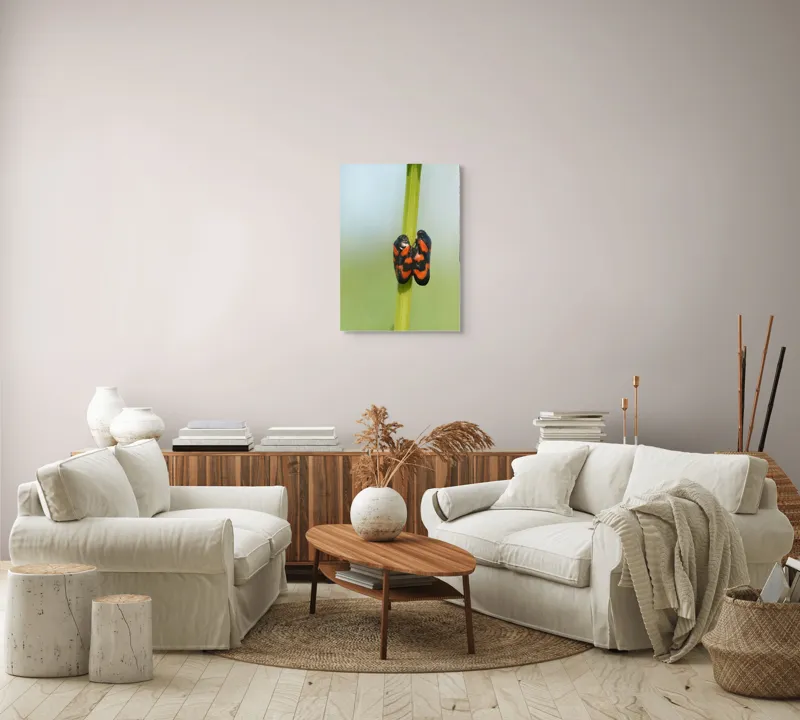 Tablou Canvas, "Dansul gândacilor roșii pe tulpină", Insecte, Aderență, Culoare, Negru, Roșu, Simetrie, Natură, Detaliu, 50 x 70 cm – poza 4