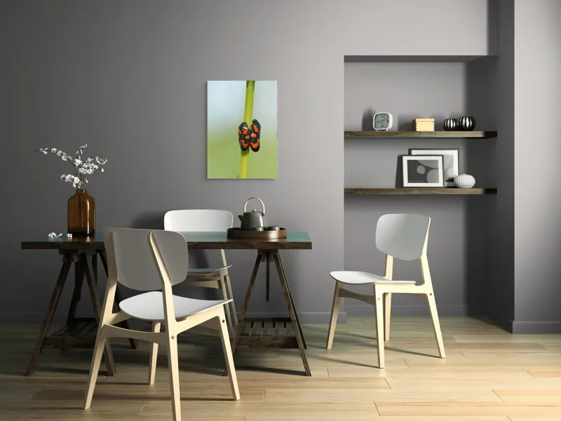Tablou Canvas, "Dansul gândacilor roșii pe tulpină", Insecte, Aderență, Culoare, Negru, Roșu, Simetrie, Natură, Detaliu, 50 x 70 cm – poza 5