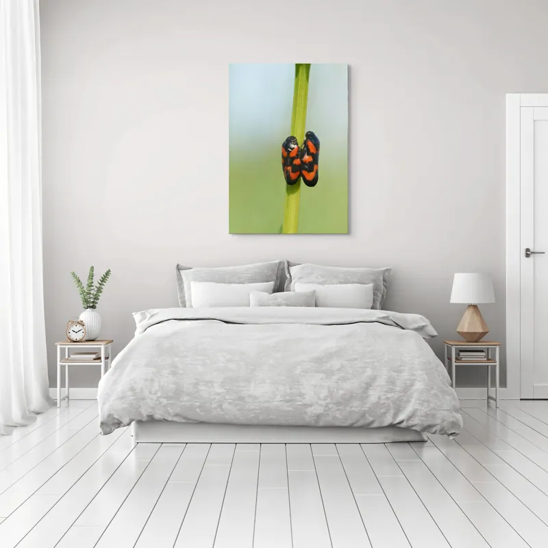 Tablou Canvas, "Dansul gândacilor roșii pe tulpină", Insecte, Aderență, Culoare, Negru, Roșu, Simetrie, Natură, Detaliu, 70 x 100 cm – poza 3