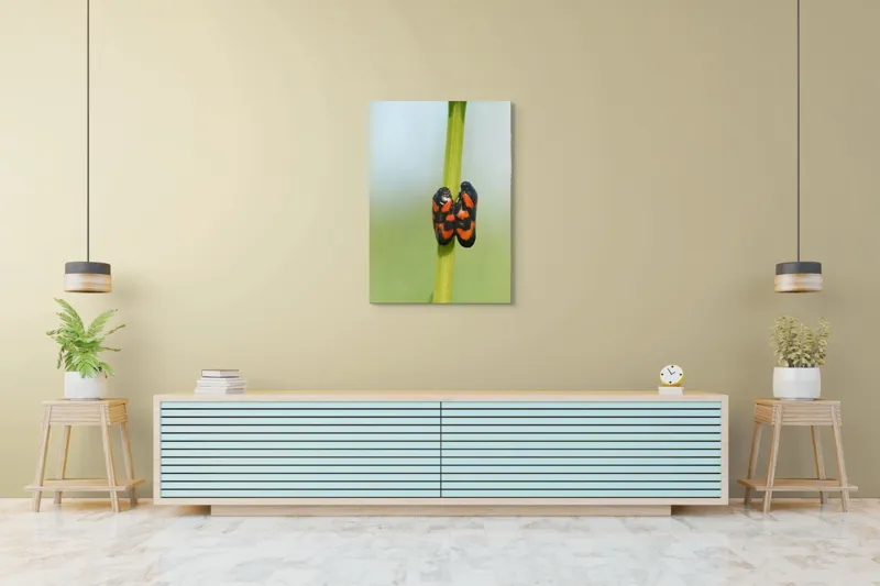 Tablou Canvas, "Dansul gândacilor roșii pe tulpină", Insecte, Aderență, Culoare, Negru, Roșu, Simetrie, Natură, Detaliu, 70 x 100 cm – poza 5