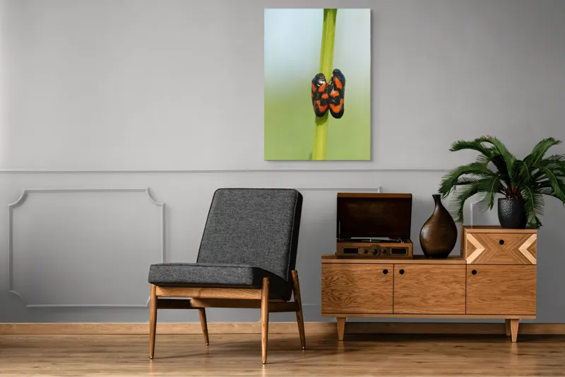 Tablou Canvas, "Dansul gândacilor roșii pe tulpină", Insecte, Aderență, Culoare, Negru, Roșu, Simetrie, Natură, Detaliu, 70 x 100 cm – poza 6