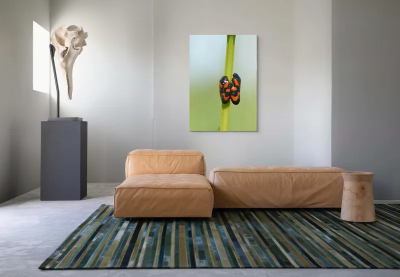 Tablou Canvas, "Dansul gândacilor roșii pe tulpină", Insecte, Aderență, Culoare, Negru, Roșu, Simetrie, Natură, Detaliu, 70 x 100 cm – poza 7