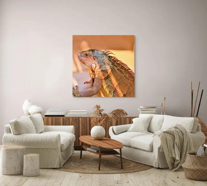 Tablou Canvas, "Solemnitatea iguanei la apusul soarelui", Iguana, Sol, Umbre, Texturi, Culori, Solzi, Privire, 100 x 100 cm – poza 3