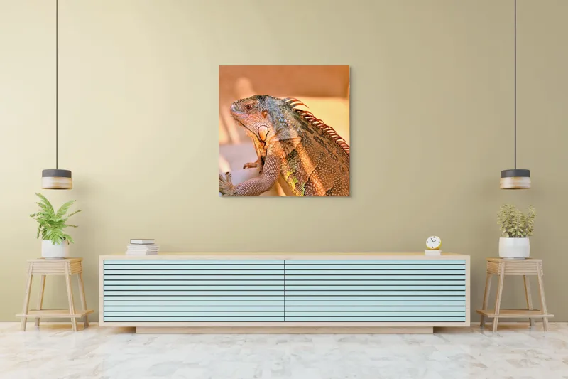 Tablou Canvas, "Solemnitatea iguanei la apusul soarelui", Iguana, Sol, Umbre, Texturi, Culori, Solzi, Privire, 100 x 100 cm – poza 5