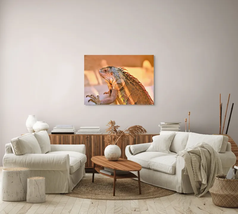 Tablou Canvas, "Solemnitatea iguanei la apusul soarelui", Iguana, Sol, Umbre, Texturi, Culori, Solzi, Privire, 100 x 70 cm – poza 3