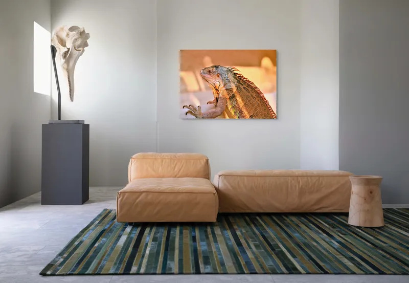 Tablou Canvas, "Solemnitatea iguanei la apusul soarelui", Iguana, Sol, Umbre, Texturi, Culori, Solzi, Privire, 100 x 70 cm – poza 7
