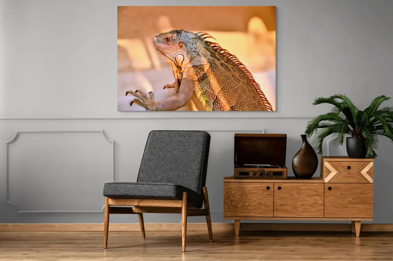 Tablou Canvas, "Solemnitatea iguanei la apusul soarelui", Iguana, Sol, Umbre, Texturi, Culori, Solzi, Privire, 150 x 100 cm – poza 8