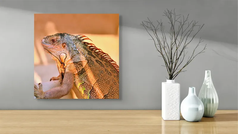 Tablou Canvas, "Solemnitatea iguanei la apusul soarelui", Iguana, Sol, Umbre, Texturi, Culori, Solzi, Privire, 50 x 50 cm – poza 3