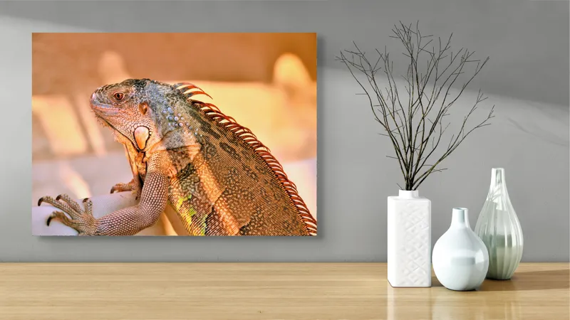 Tablou Canvas, "Solemnitatea iguanei la apusul soarelui", Iguana, Sol, Umbre, Texturi, Culori, Solzi, Privire, 70 x 50 cm – poza 3