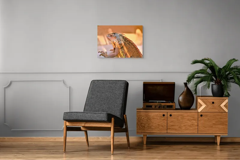 Tablou Canvas, "Solemnitatea iguanei la apusul soarelui", Iguana, Sol, Umbre, Texturi, Culori, Solzi, Privire, 70 x 50 cm – poza 4
