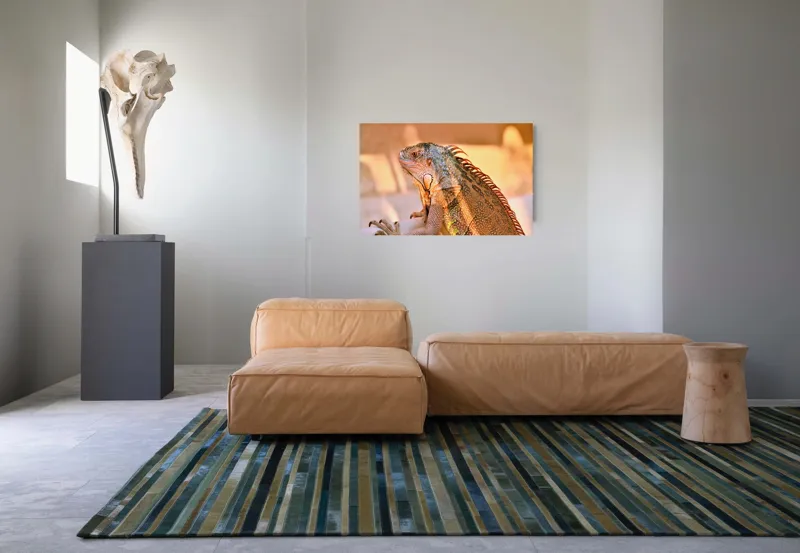 Tablou Canvas, "Solemnitatea iguanei la apusul soarelui", Iguana, Sol, Umbre, Texturi, Culori, Solzi, Privire, 90 x 50 cm – poza 8