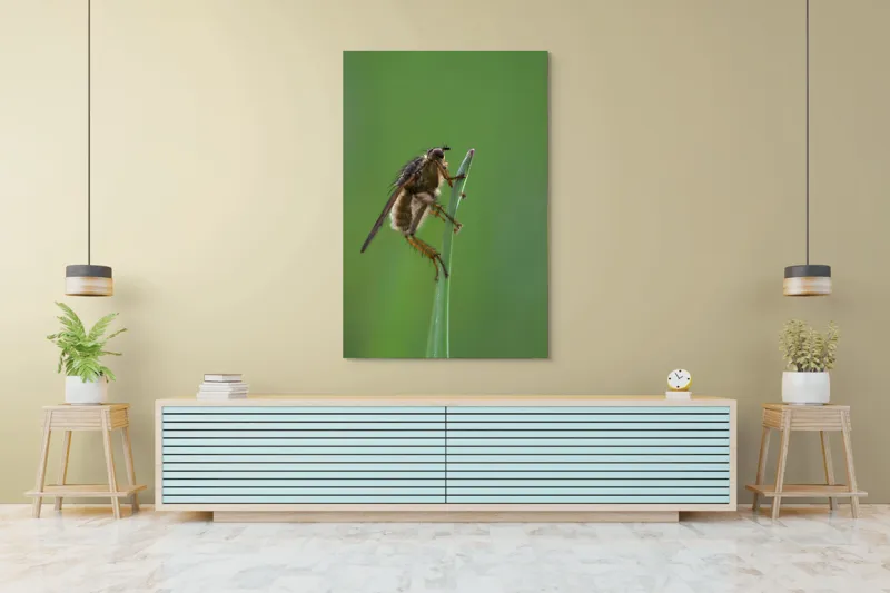 Tablou Canvas, "Musca odihnindu-se pe firul ierbii", Musca, Verdeață, Fragilitate, Natură, Echilibru, Percepție, Detaliu, 100 x 150 cm – poza 4