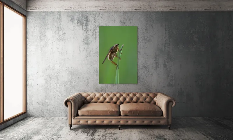 Tablou Canvas, "Musca odihnindu-se pe firul ierbii", Musca, Verdeață, Fragilitate, Natură, Echilibru, Percepție, Detaliu, 100 x 150 cm – poza 6