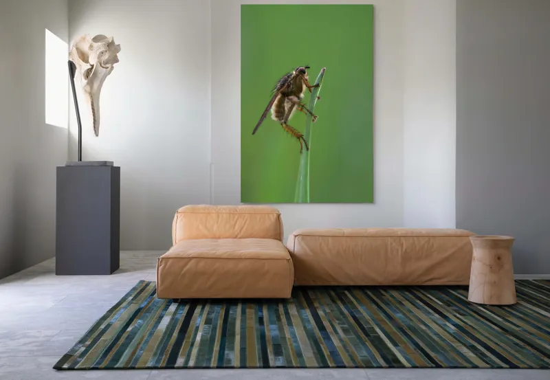 Tablou Canvas, "Musca odihnindu-se pe firul ierbii", Musca, Verdeață, Fragilitate, Natură, Echilibru, Percepție, Detaliu, 100 x 150 cm – poza 7