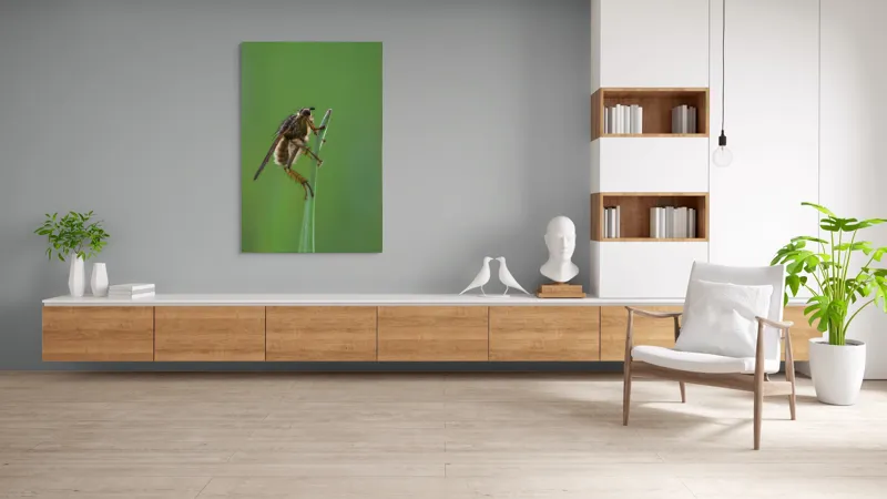 Tablou Canvas, "Musca odihnindu-se pe firul ierbii", Musca, Verdeață, Fragilitate, Natură, Echilibru, Percepție, Detaliu, 100 x 150 cm – poza 8
