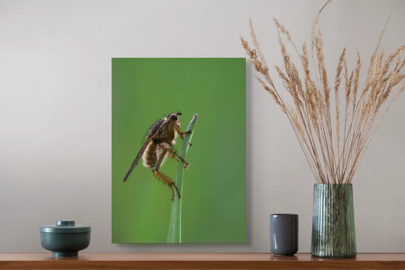 Tablou Canvas, "Musca odihnindu-se pe firul ierbii", Musca, Verdeață, Fragilitate, Natură, Echilibru, Percepție, Detaliu, 39 x 54 cm – poza 3