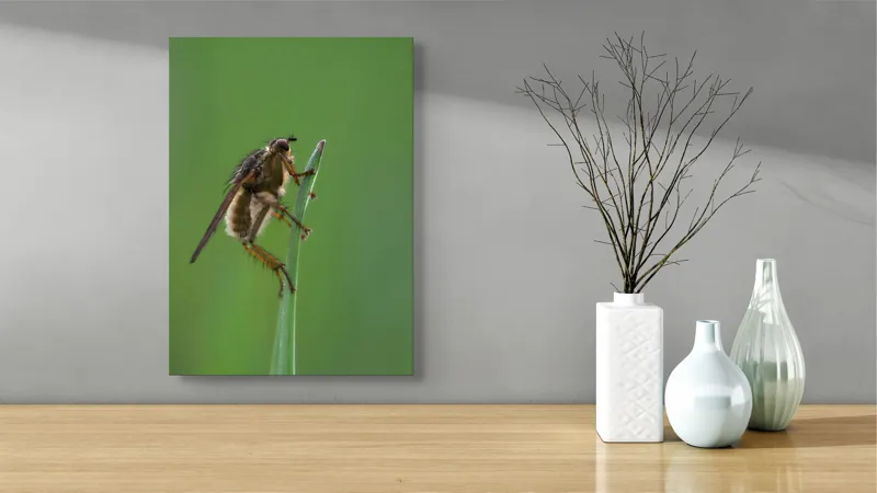 Tablou Canvas, "Musca odihnindu-se pe firul ierbii", Musca, Verdeață, Fragilitate, Natură, Echilibru, Percepție, Detaliu, 39 x 54 cm – poza 4