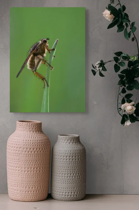 Tablou Canvas, "Musca odihnindu-se pe firul ierbii", Musca, Verdeață, Fragilitate, Natură, Echilibru, Percepție, Detaliu, 39 x 54 cm – poza 6