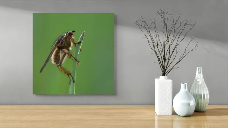 Tablou Canvas, "Musca odihnindu-se pe firul ierbii", Musca, Verdeață, Fragilitate, Natură, Echilibru, Percepție, Detaliu, 50 x 50 cm – poza 3