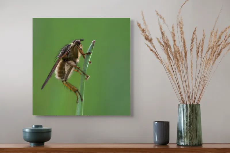 Tablou Canvas, "Musca odihnindu-se pe firul ierbii", Musca, Verdeață, Fragilitate, Natură, Echilibru, Percepție, Detaliu, 50 x 50 cm – poza 4