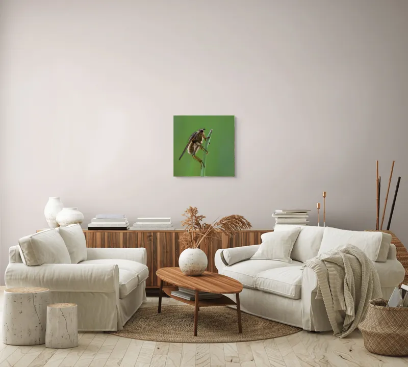 Tablou Canvas, "Musca odihnindu-se pe firul ierbii", Musca, Verdeață, Fragilitate, Natură, Echilibru, Percepție, Detaliu, 50 x 50 cm – poza 7
