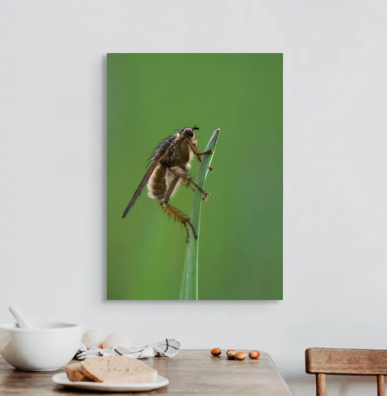 Tablou Canvas, "Musca odihnindu-se pe firul ierbii", Musca, Verdeață, Fragilitate, Natură, Echilibru, Percepție, Detaliu, 50 x 70 cm – poza 3