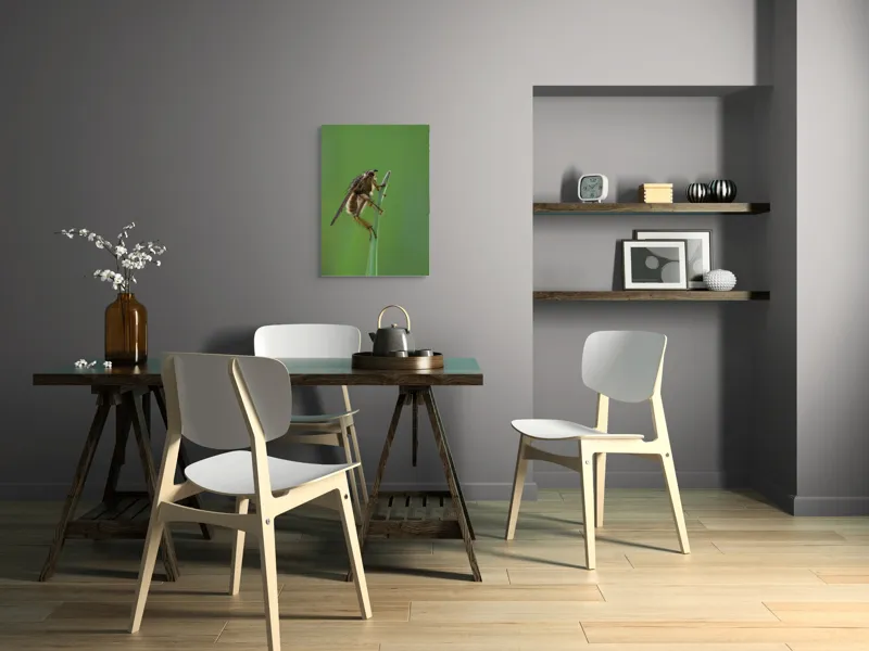 Tablou Canvas, "Musca odihnindu-se pe firul ierbii", Musca, Verdeață, Fragilitate, Natură, Echilibru, Percepție, Detaliu, 50 x 70 cm – poza 5