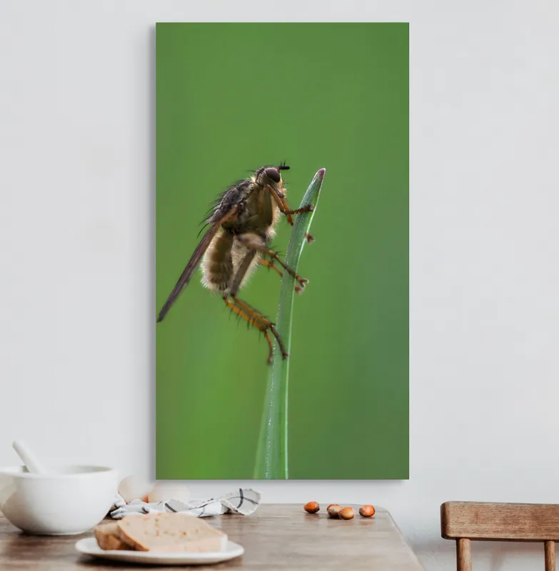 Tablou Canvas, "Musca odihnindu-se pe firul ierbii", Musca, Verdeață, Fragilitate, Natură, Echilibru, Percepție, Detaliu, 50 x 90 cm – poza 3