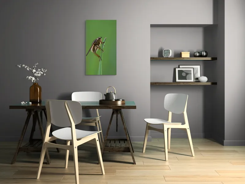 Tablou Canvas, "Musca odihnindu-se pe firul ierbii", Musca, Verdeață, Fragilitate, Natură, Echilibru, Percepție, Detaliu, 50 x 90 cm – poza 4