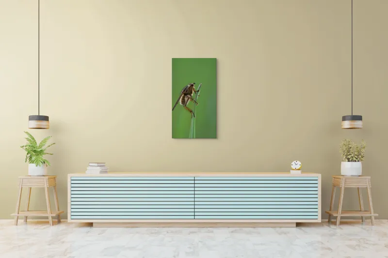Tablou Canvas, "Musca odihnindu-se pe firul ierbii", Musca, Verdeață, Fragilitate, Natură, Echilibru, Percepție, Detaliu, 50 x 90 cm – poza 6
