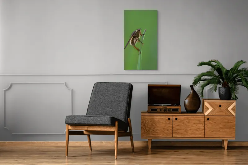 Tablou Canvas, "Musca odihnindu-se pe firul ierbii", Musca, Verdeață, Fragilitate, Natură, Echilibru, Percepție, Detaliu, 50 x 90 cm – poza 8