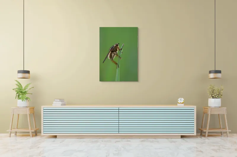 Tablou Canvas, "Musca odihnindu-se pe firul ierbii", Musca, Verdeață, Fragilitate, Natură, Echilibru, Percepție, Detaliu, 70 x 100 cm – poza 5