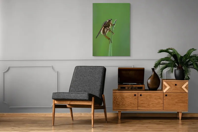 Tablou Canvas, "Musca odihnindu-se pe firul ierbii", Musca, Verdeață, Fragilitate, Natură, Echilibru, Percepție, Detaliu, 70 x 100 cm – poza 6
