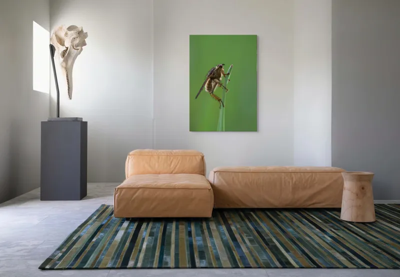 Tablou Canvas, "Musca odihnindu-se pe firul ierbii", Musca, Verdeață, Fragilitate, Natură, Echilibru, Percepție, Detaliu, 70 x 100 cm – poza 7