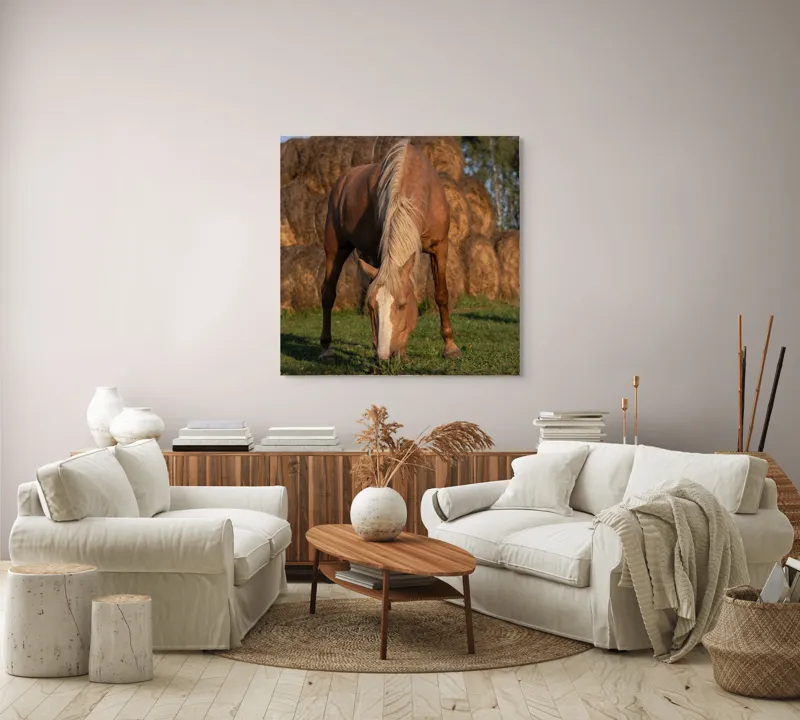 Tablou Canvas, "Cal în lumină de apus", Cal, Pășune, Fân, Verdeață, Cer, Linie, Natură, Soare, Blană., 100 x 100 cm – poza 3