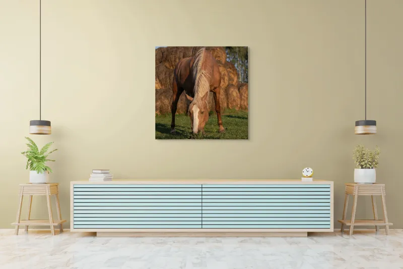 Tablou Canvas, "Cal în lumină de apus", Cal, Pășune, Fân, Verdeață, Cer, Linie, Natură, Soare, Blană., 100 x 100 cm – poza 5