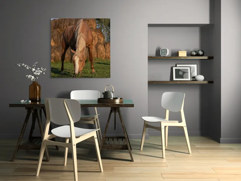 Tablou Canvas, "Cal în lumină de apus", Cal, Pășune, Fân, Verdeață, Cer, Linie, Natură, Soare, Blană., 100 x 100 cm – poza 6