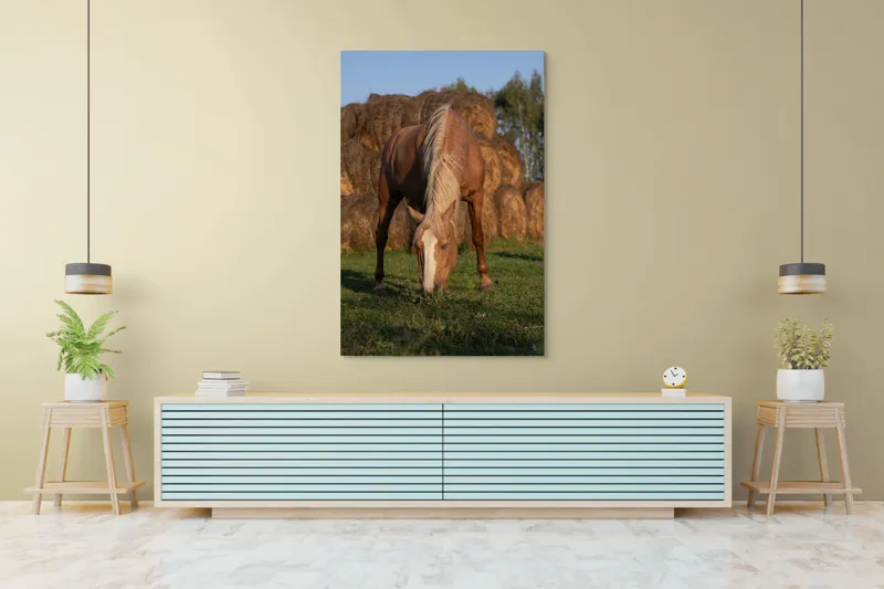 Tablou Canvas, "Cal în lumină de apus", Cal, Pășune, Fân, Verdeață, Cer, Linie, Natură, Soare, Blană., 100 x 150 cm – poza 4