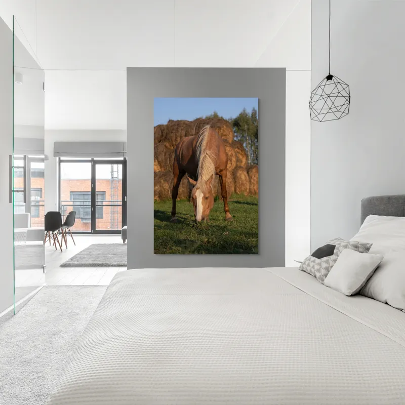 Tablou Canvas, "Cal în lumină de apus", Cal, Pășune, Fân, Verdeață, Cer, Linie, Natură, Soare, Blană., 100 x 150 cm – poza 5