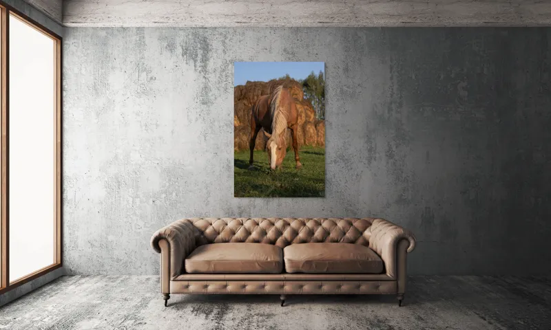 Tablou Canvas, "Cal în lumină de apus", Cal, Pășune, Fân, Verdeață, Cer, Linie, Natură, Soare, Blană., 100 x 150 cm – poza 6