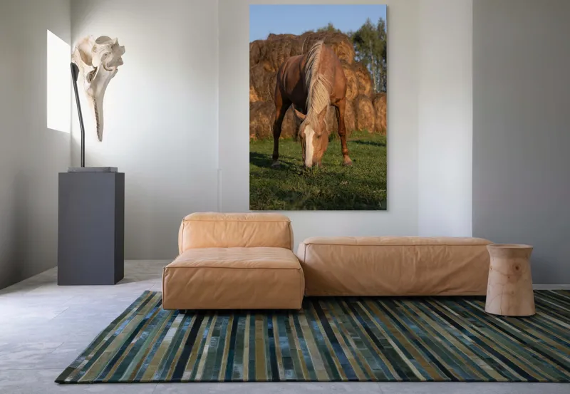 Tablou Canvas, "Cal în lumină de apus", Cal, Pășune, Fân, Verdeață, Cer, Linie, Natură, Soare, Blană., 100 x 150 cm – poza 7