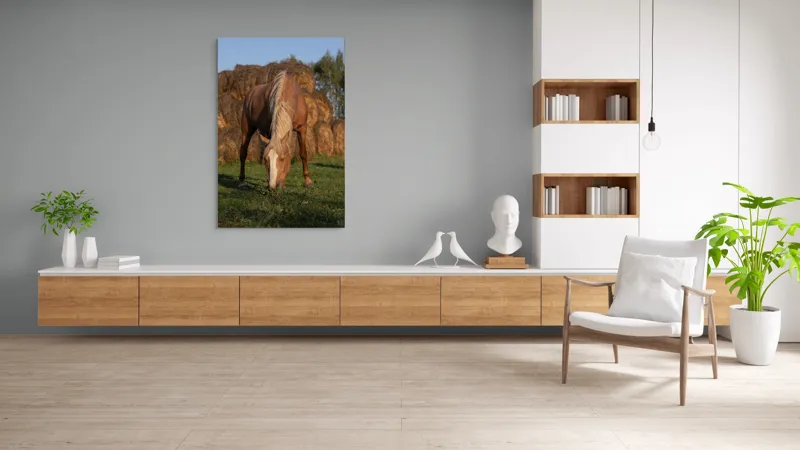 Tablou Canvas, "Cal în lumină de apus", Cal, Pășune, Fân, Verdeață, Cer, Linie, Natură, Soare, Blană., 100 x 150 cm – poza 8