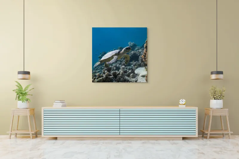 Tablou Canvas, "Testoasa explorând recifele colorate ale oceanului", Nu pot identifica sau descrie persoane din fotografii., 100 x 100 cm – poza 5